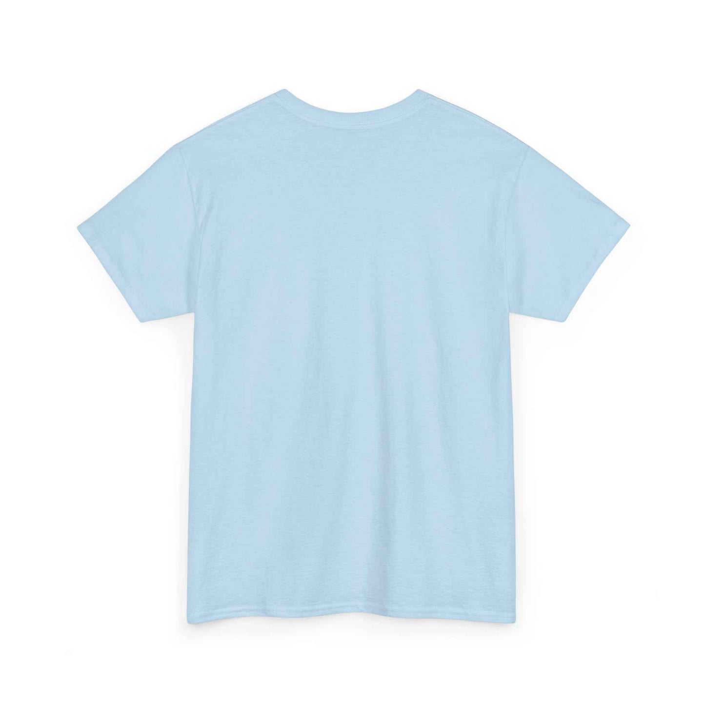 Pitts Special Biplane T-Shirt — Vintage Airshow Pilot Tee