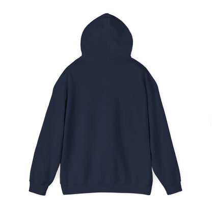 The Older the Better Classic Airplane Hoodie