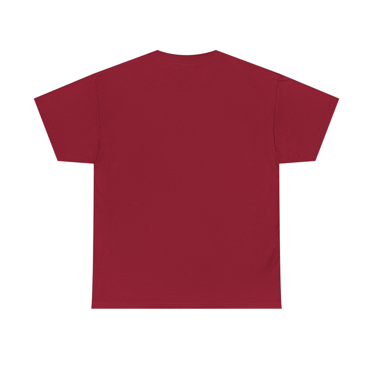 Chipmunk Vintage Airplane Tee — "80 Years" Commemorative Aviation Shirt