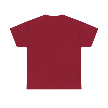 Chipmunk Vintage Airplane Tee — "80 Years" Commemorative Aviation Shirt