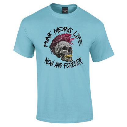 Punk Music Hipster T-Shirt - Funky Aviation