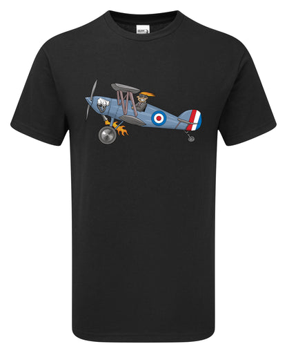 Windy Bi-Plane - Funky Aviation